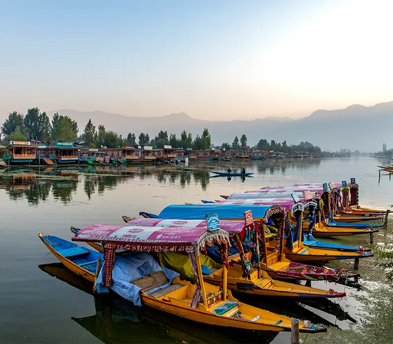 Kashmir Domestic Destination