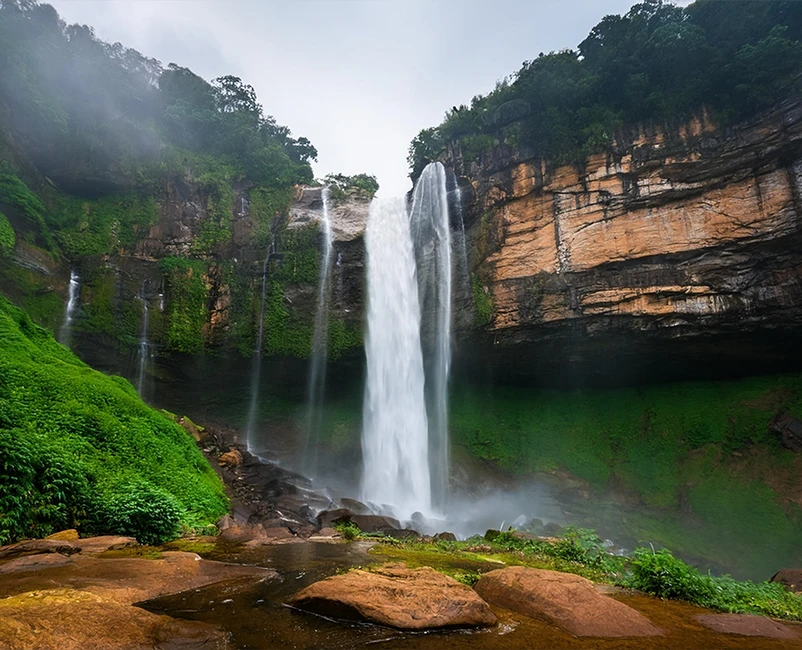Northeast Odyssey: Assam & Meghalaya