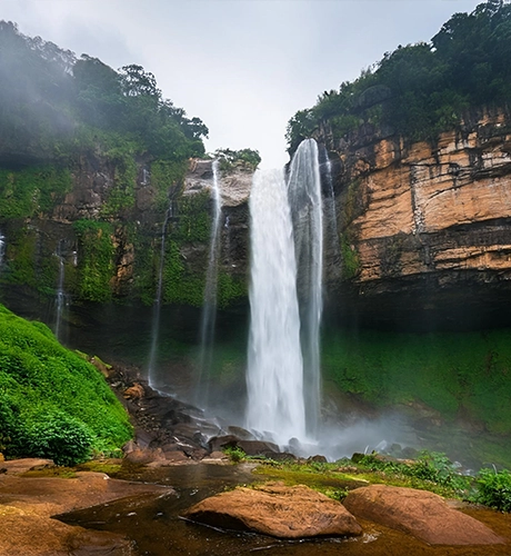 Northeast Odyssey - Assam & Meghalaya